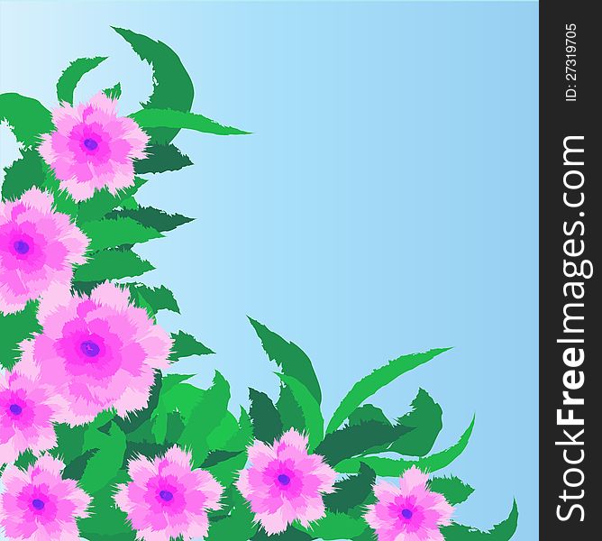 Flowers on a blue background. Flowers on a blue background