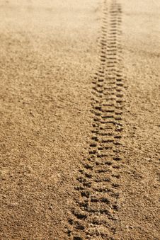 Tire Tracks In Sand Royalty Free Stock Photography Tire Tracks In Sand Royalty Free Stock Photography
