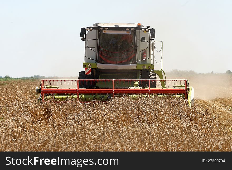 Combine harvester in field wheat