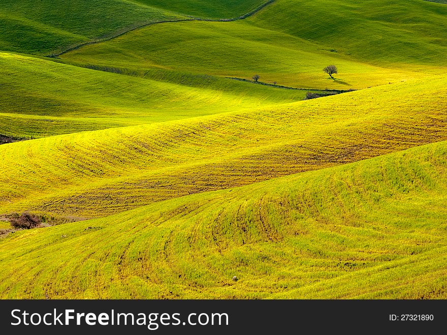 Panoramic view of countryside fields in Sicily at springtime.