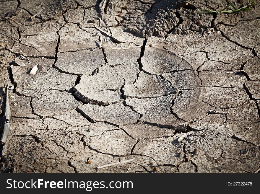 Dried soil cracking under the scorching sun .