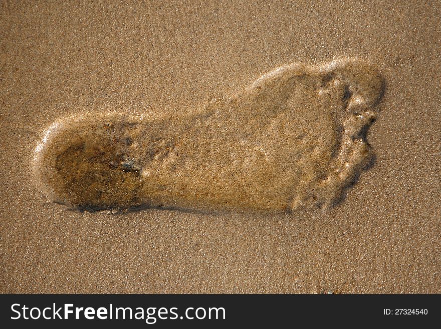 Footsteps in the sand on the beach