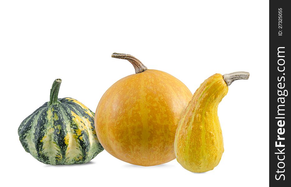 Various types of pumpkins on white background. Various types of pumpkins on white background