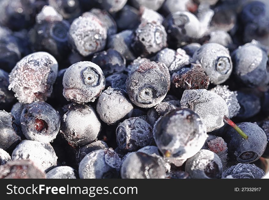 Frozen Bilberries Close-Up