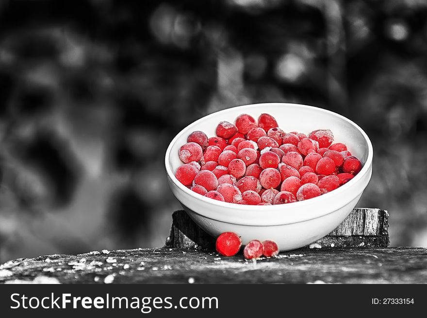 A bowl of large frozen cranberries on a tree stump against a black and white background. A bowl of large frozen cranberries on a tree stump against a black and white background