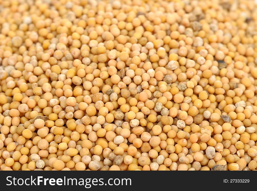 A close-up of white mustard seeds as a background. A close-up of white mustard seeds as a background