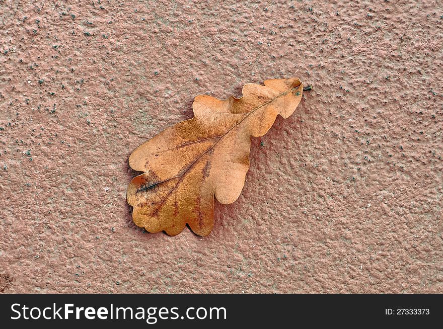 A dry fallen oak leaf on a concrete background in autumn - HDR Image. A dry fallen oak leaf on a concrete background in autumn - HDR Image