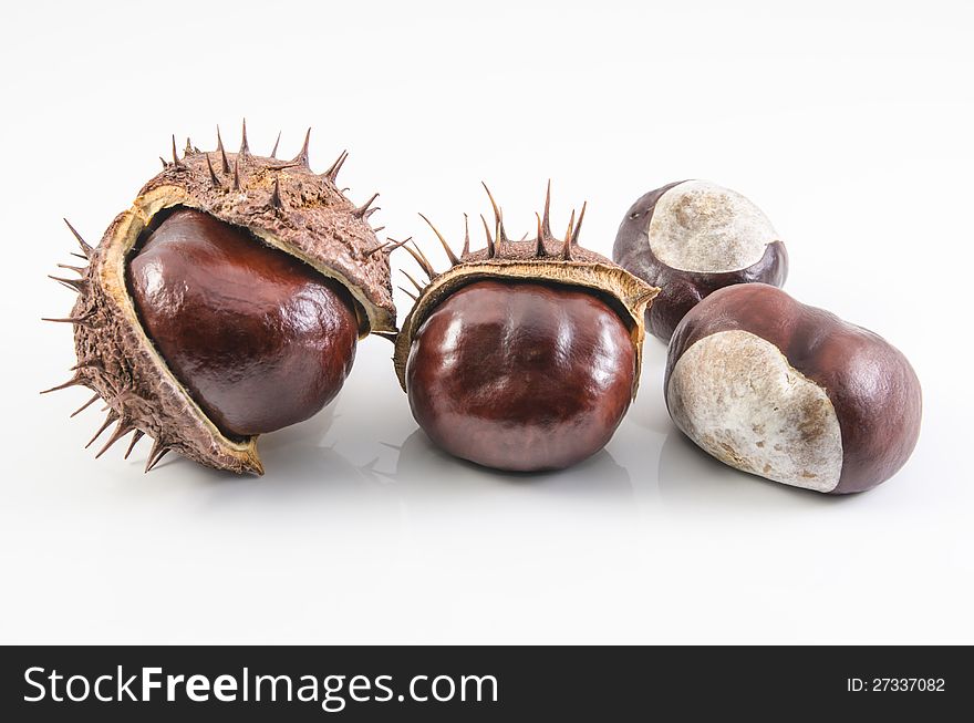 Nice shot of some chestnuts  on white background