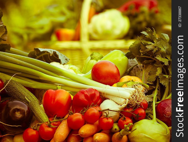 Fresh organic vegetables is the basis of vegetarian diet. Fresh organic vegetables is the basis of vegetarian diet