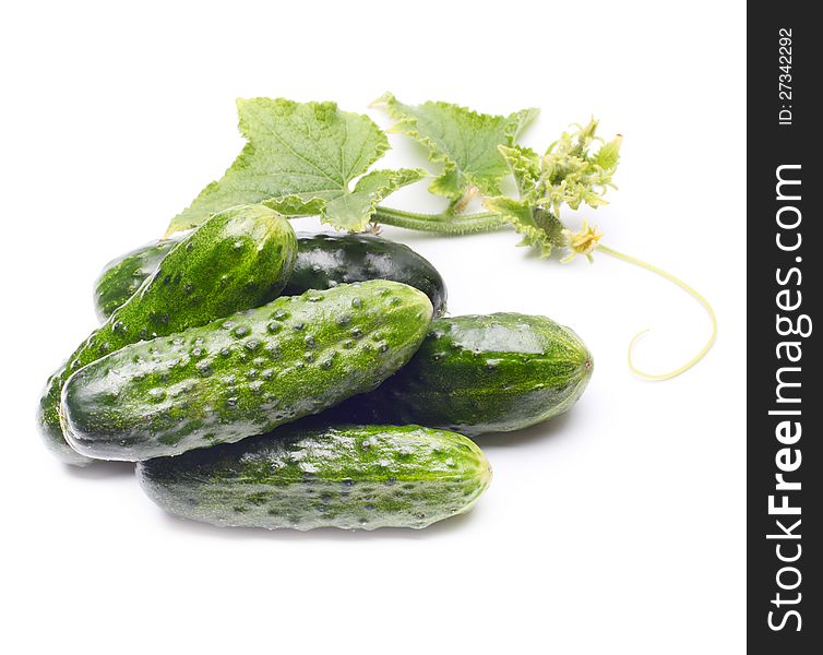 Fresh cucumbers with leaf on white