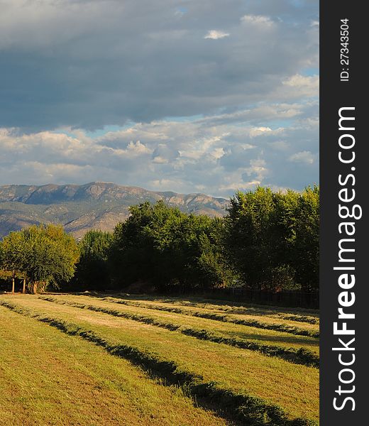 Freshly Cut Hay Harvested In Fall, Mountains, Sky