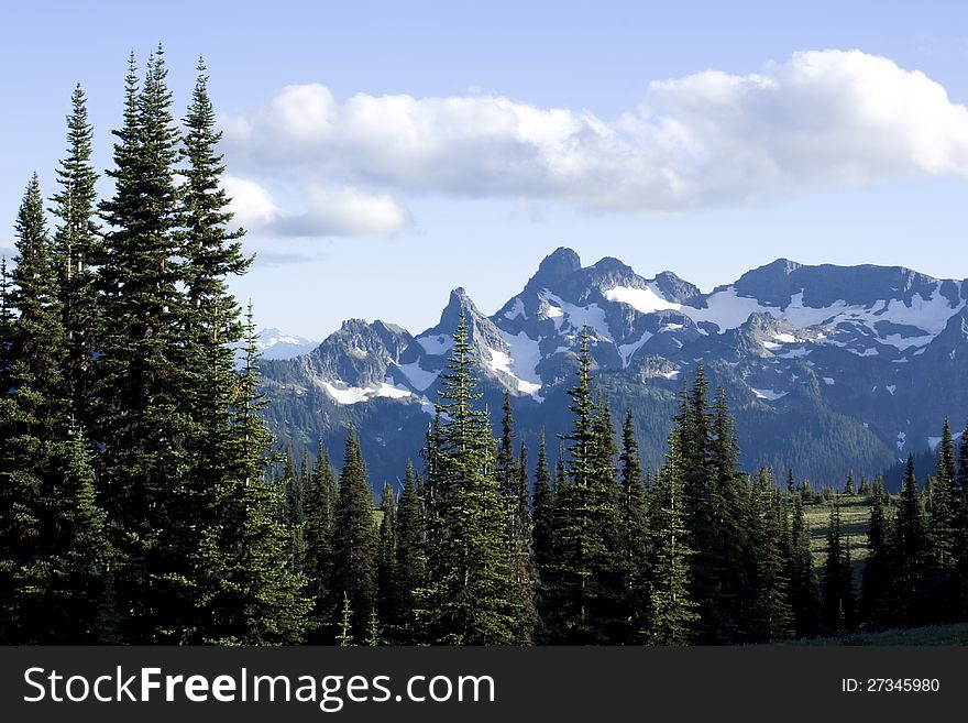 Snow mountain tops and dense forest at Mt. Rainier National park, Washington State, USA. Snow mountain tops and dense forest at Mt. Rainier National park, Washington State, USA