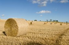 Bales Of Hay Stock Photo Bales Of Hay Stock Photo