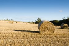 Hayfield Stock Images