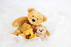 Three Teddy-bears Stock Photo Three Teddy-bears Stock Photo