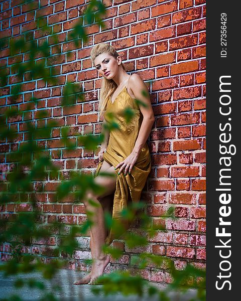 Beauty girl posing fashion near red brick wall