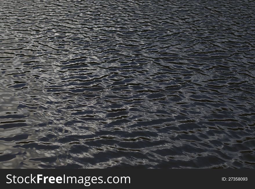 Water Surface Of The Lake