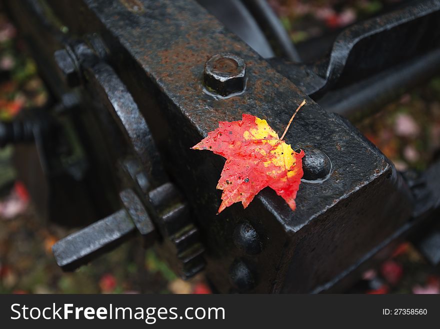 Leaf And Railway Metal Piece