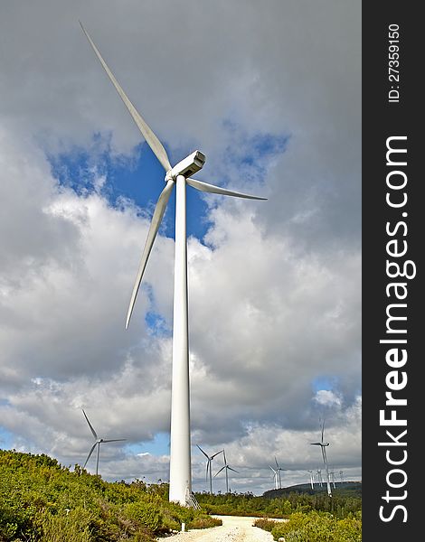Wind energy generators in middle nature. Wind energy generators in middle nature