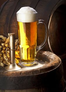 The Still Life With Beer Royalty Free Stock Photography The Still Life With Beer Royalty Free Stock Photography