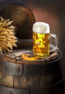 The Still Life With Beer Royalty Free Stock Image The Still Life With Beer Royalty Free Stock Image