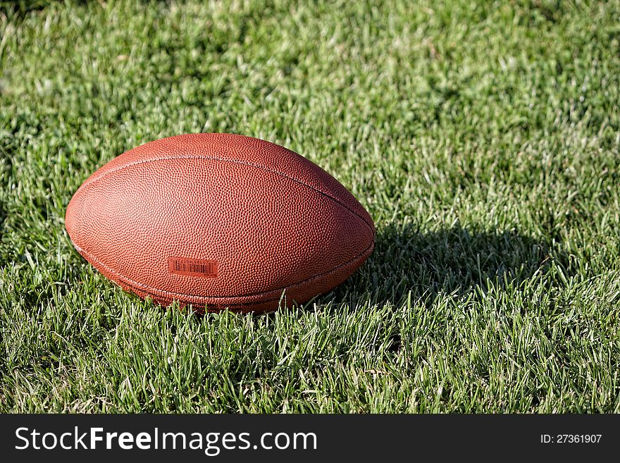 American football ball on the grass. American football ball on the grass
