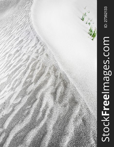 Abstract texture of sand dune in desert with growing grass