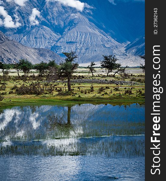 Sunny day view with trees at Nubra Valley. Himalaya mountains landscape. India, Ladakh, altitude 3100 m