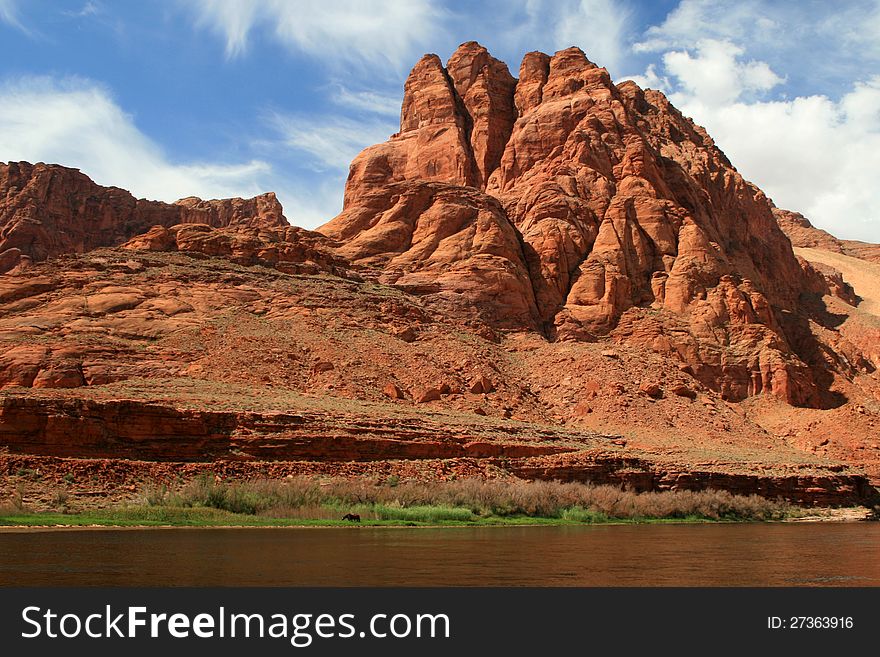 Wild horses graze at the banks of ther Colorado River in Glen Canyon.