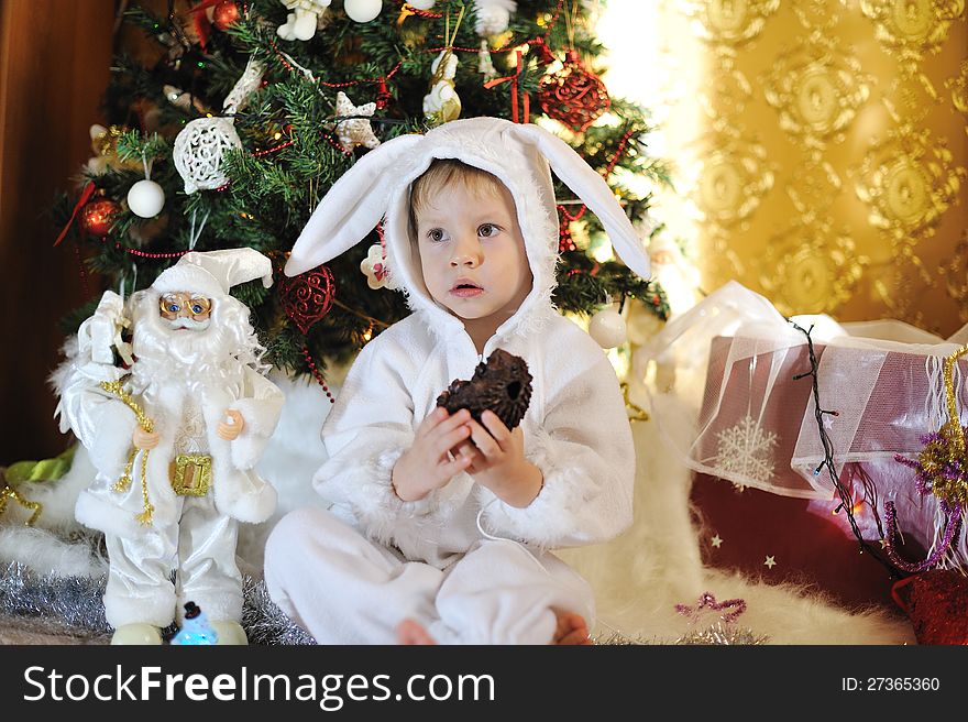 Node Christmas tree sits a boy dressed as a white rabbit with shokolodnym ezhem. Node Christmas tree sits a boy dressed as a white rabbit with shokolodnym ezhem
