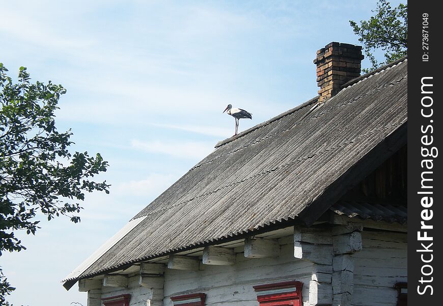 Stork on the roof of old wooden house