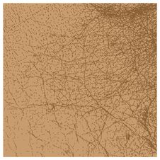 Perfect Vector Brown Leather Texture Isolated Stock Images