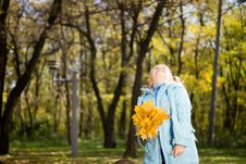 Young Girl Holding Fallen Leaves And Looking Up Stock Image Young Girl Holding Fallen Leaves And Looking Up Stock Image