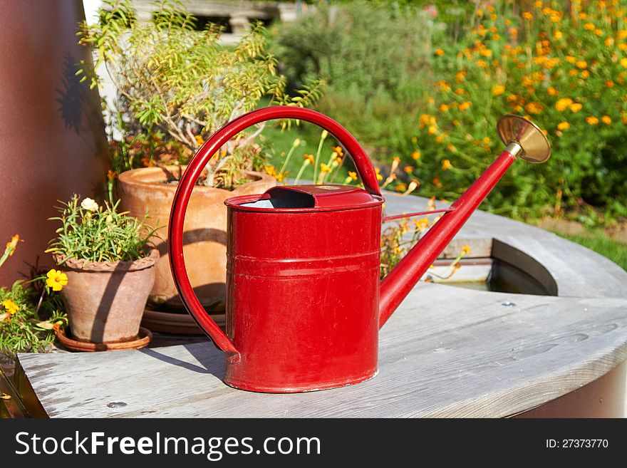 Red Watering Can