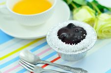 Blueberry Cup Cake Royalty Free Stock Photos Blueberry Cup Cake Royalty Free Stock Photos