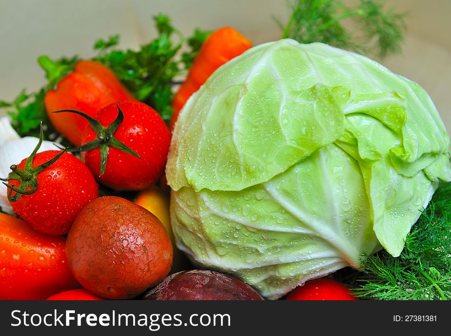 Still life with fresh vegetables to cook borscht