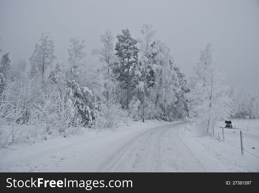 Frosty cold winter road in mist