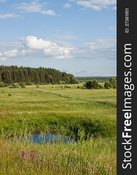 Vertical view of summer landscape with meadow and blue sky