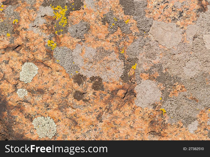 Red, yellow and grey lichens, pattern on a granite stone