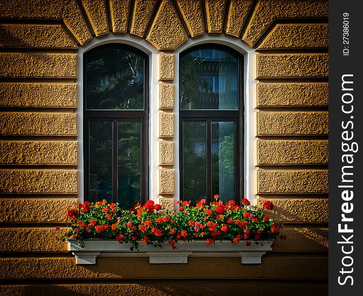 Windows With Flowers