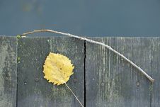 Old Wooden Fence With Yellow Leaf And Twig Royalty Free Stock Photo Old Wooden Fence With Yellow Leaf And Twig Royalty Free Stock Photo