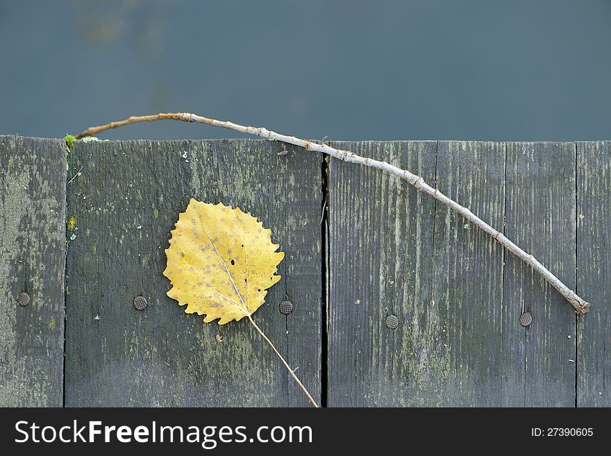 Old Wooden Fence with Yellow Leaf and Twig