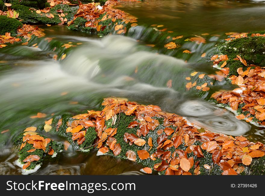 A detailed view of an autumn stream with blurred motion