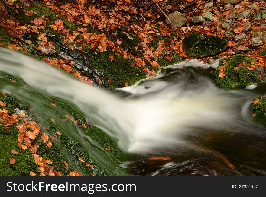 A detailed view of an autumn stream with blurred motion