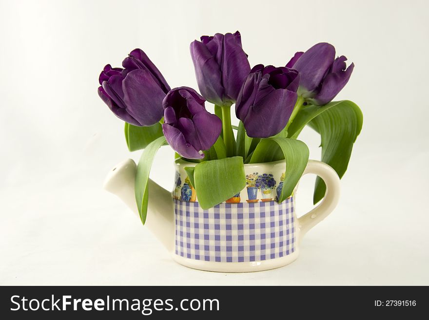 Ceramics watering can with color tulips. Ceramics watering can with color tulips