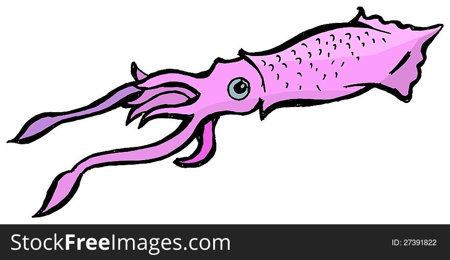 Illustration of the squid on the white background