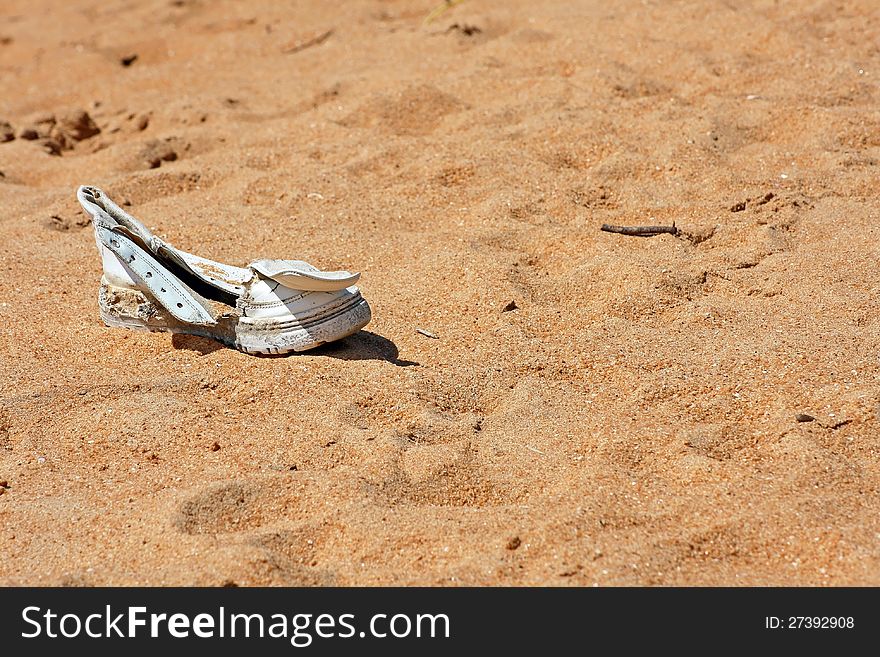 a lonesome lost shoe on the sandy beach from sri lanka