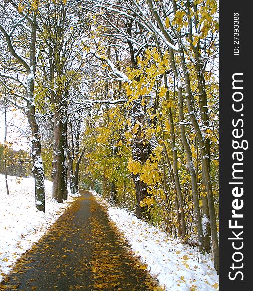 Straight walking path lined with snow in autumn. Straight walking path lined with snow in autumn.