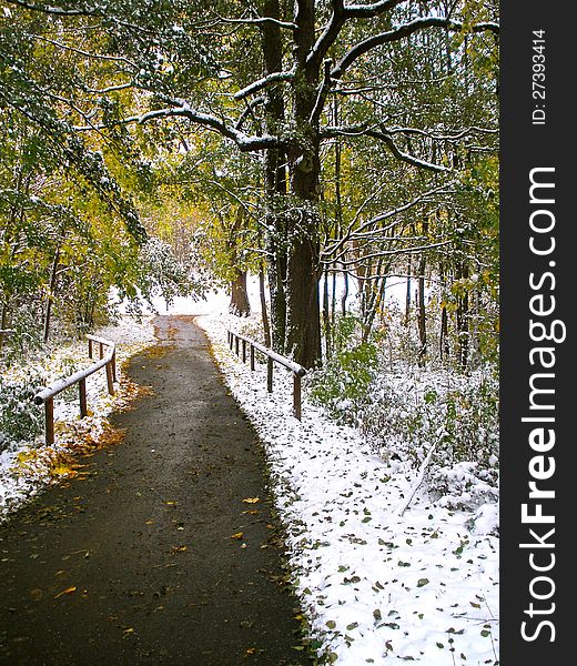 First snow along an autumn path. First snow along an autumn path.