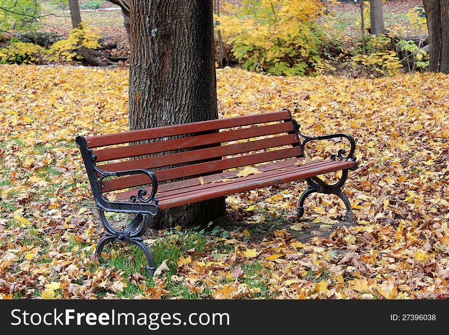 Pretty color of foliage surrounding wooden park bench. Pretty color of foliage surrounding wooden park bench.